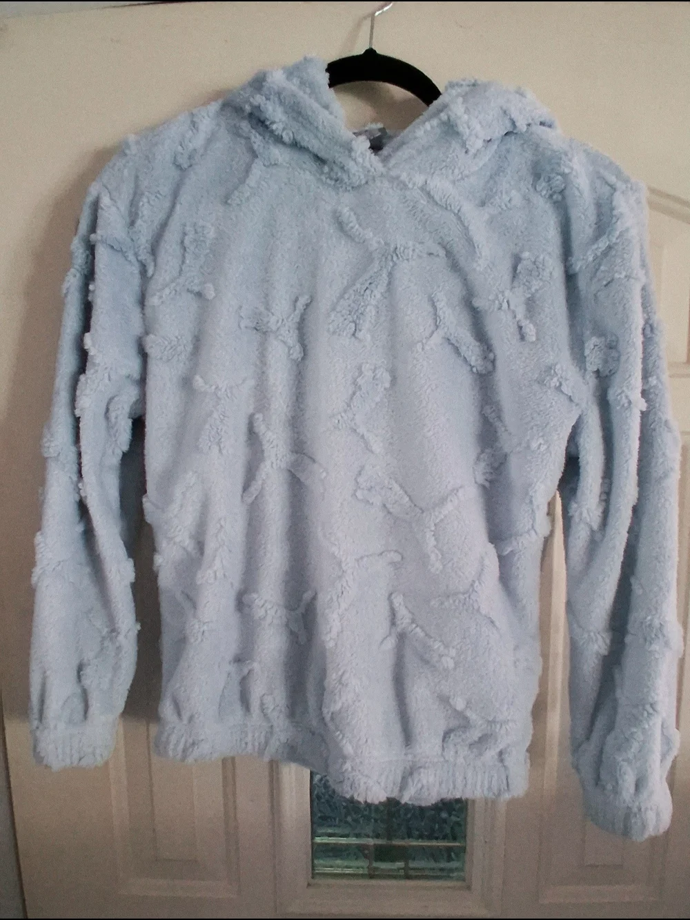 Puma Light Blue Plush Hooded Sweatshirt